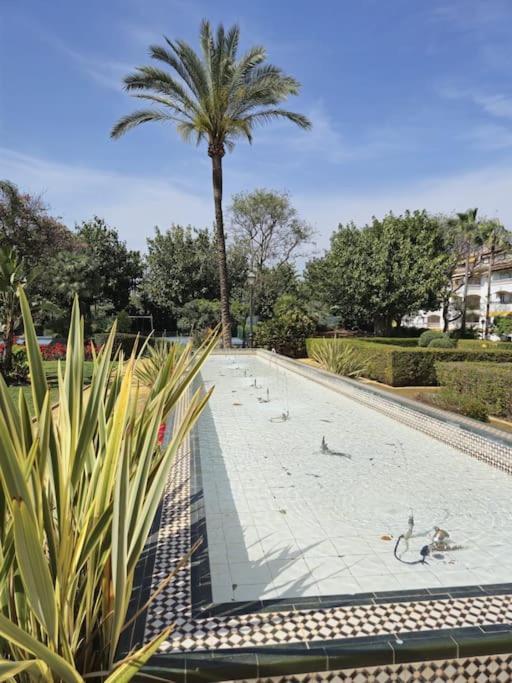 Dama De Noche * Marbella